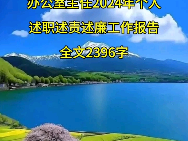 办公室主任2024年个人述职述责述廉工作报告哔哩哔哩bilibili