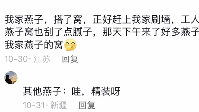 原来燕子的世界这么丰富?网友:家里人可稀罕了,有些是真虎哔哩哔哩bilibili