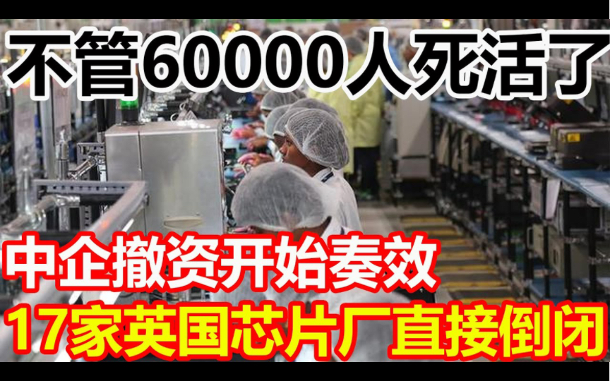 不管60000人死活了,中企撤资奏效了,大批英国芯片厂直接倒闭,付出了血的代价哔哩哔哩bilibili