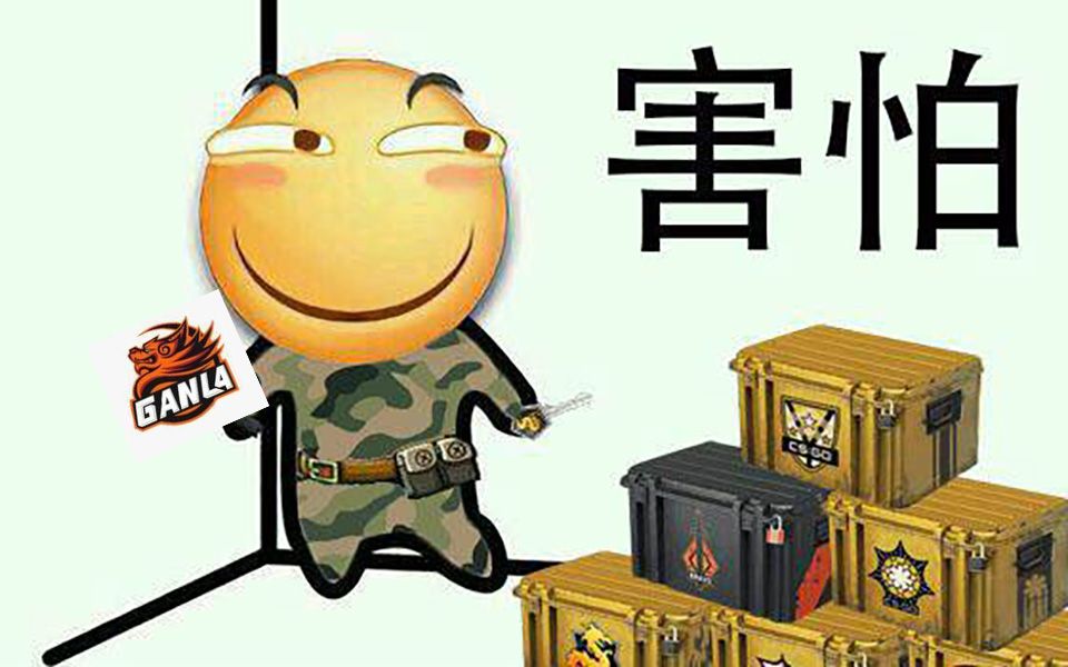 【csgo】来自天禄贴纸的大地球急停!