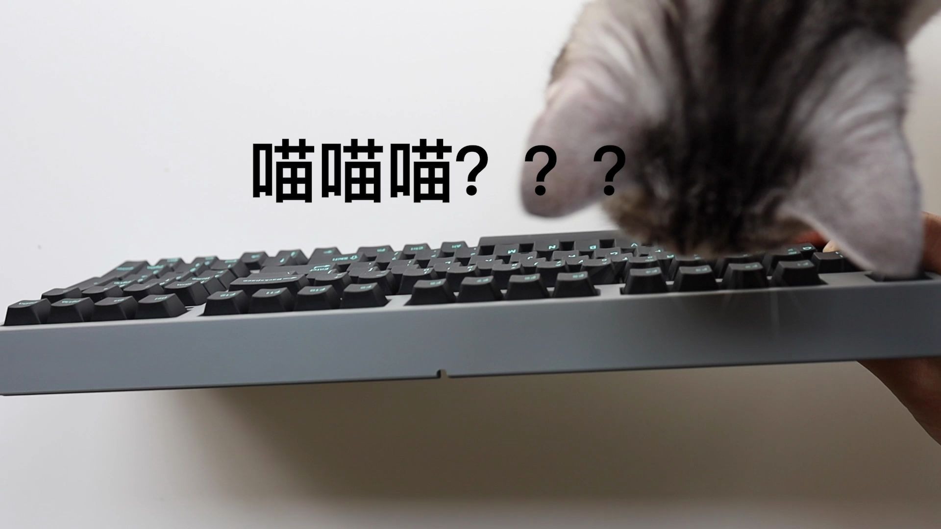 [图]全网首晒-LEOPOLD & zFrontier FC980M 暗礁R2