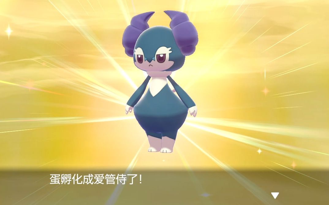 m的宝可梦剑盾色违91闪光爱管侍297蛋
