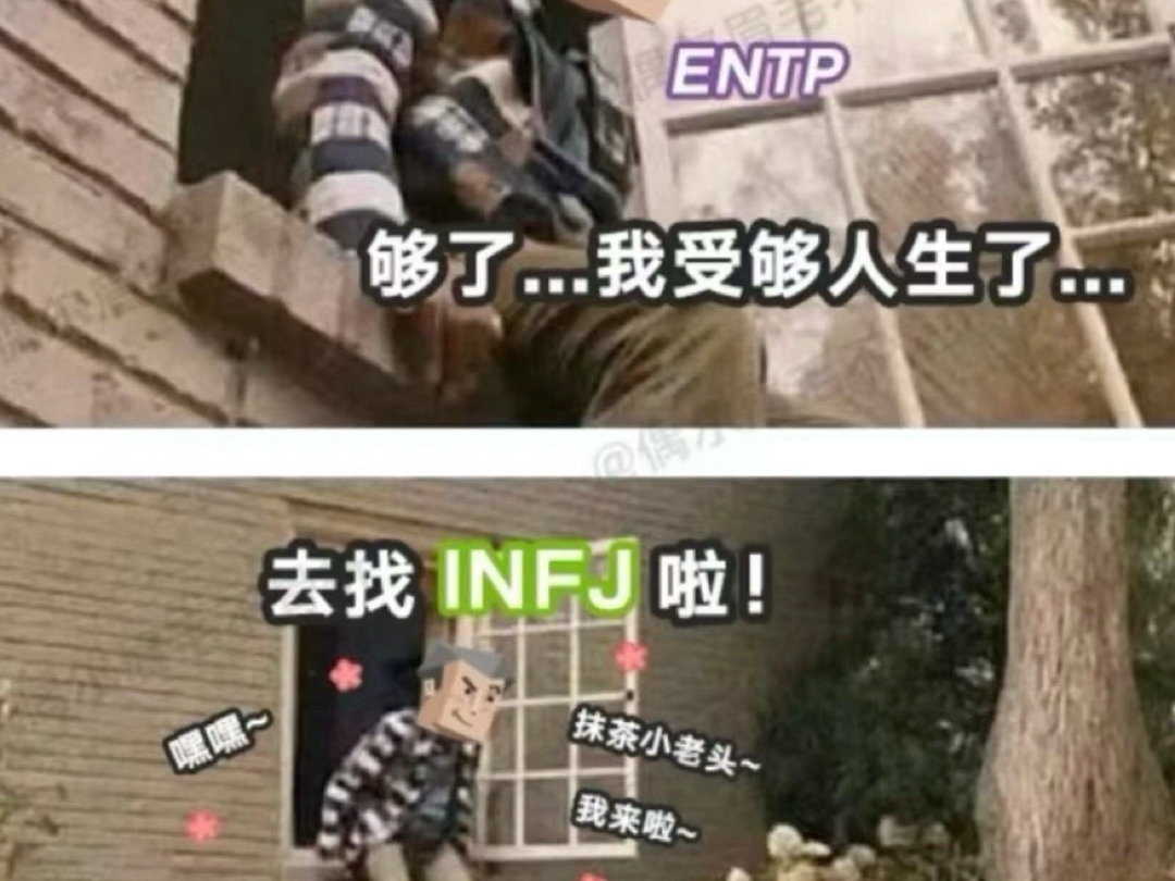 相爱相杀的entp和infj哔哩哔哩bilibili