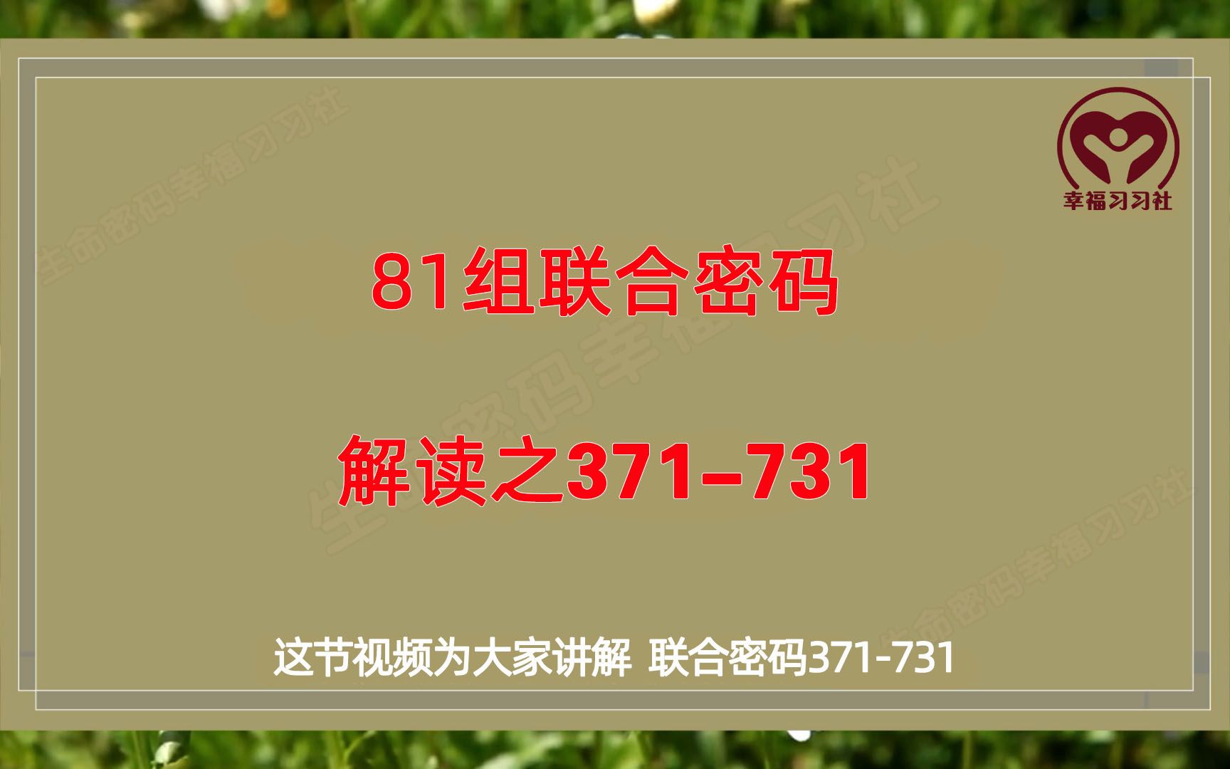 生命密码解读,81组联合密码解析之创意型领导码371和731哔哩哔哩bilibili