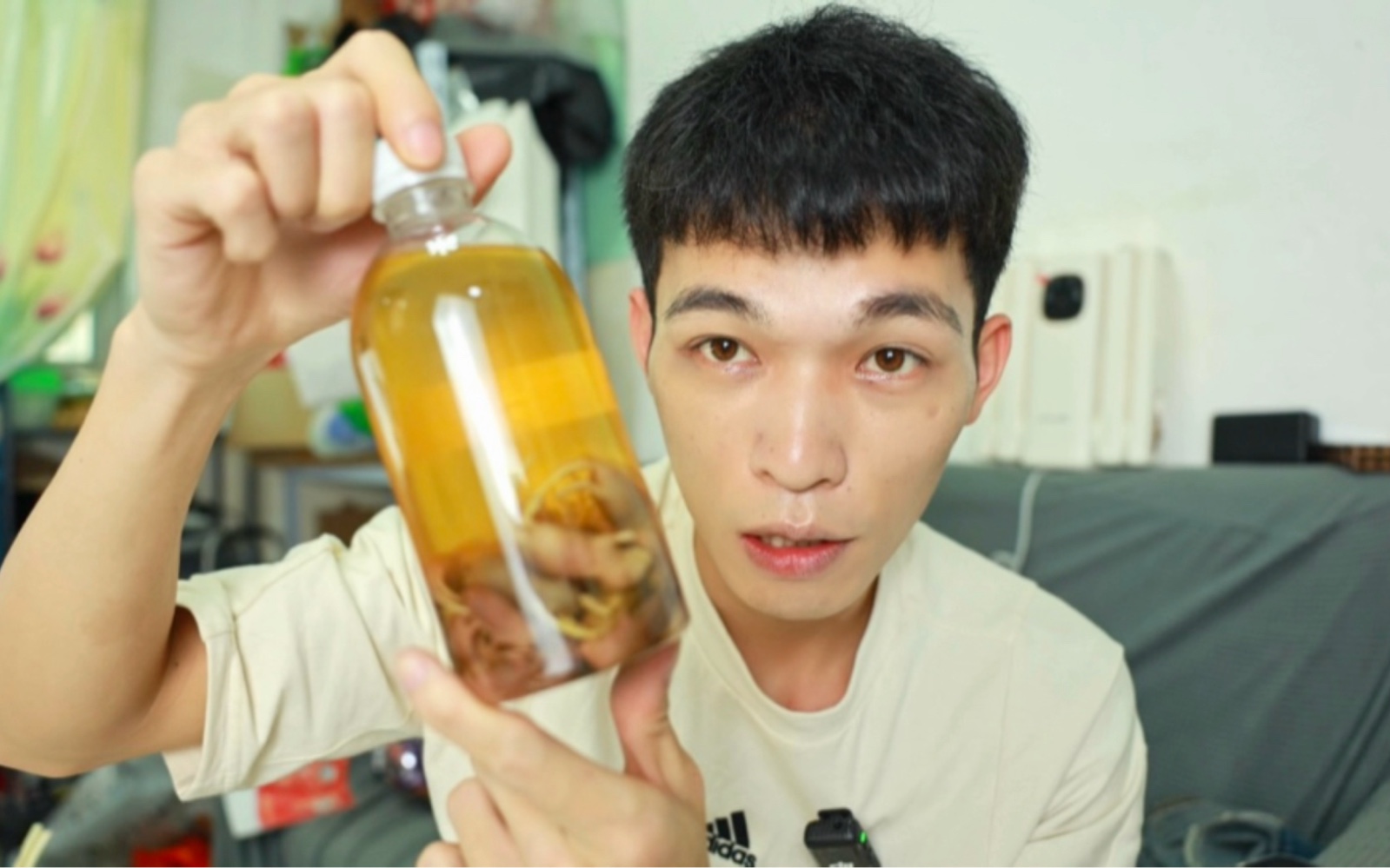 用老鼠仔泡的老鼠酒!喝起来会是什么味道?哔哩哔哩bilibili