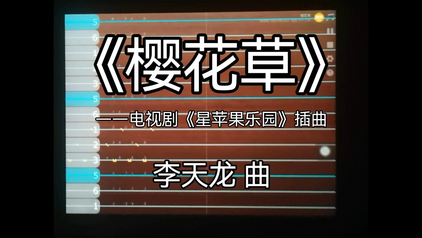 【iguzheng】《樱花草》|电视剧《星苹果乐园》插曲