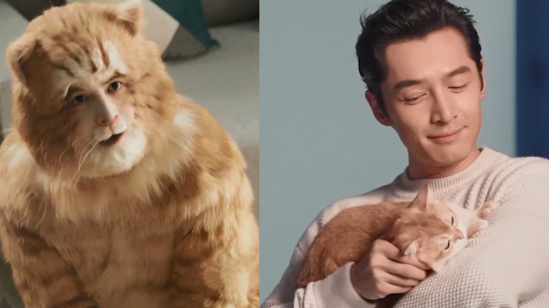 胡歌扮演橘猫花絮曝光,造型呆萌可爱超逼真,观众直呼认不出