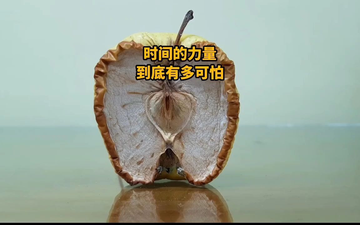 时间的力量到底有多可怕?哔哩哔哩bilibili