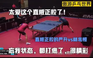 Descargar video: 太爱这个直板正胶了！国乒直板正胶猛将严升vs林兆恒，乒乓盛宴！