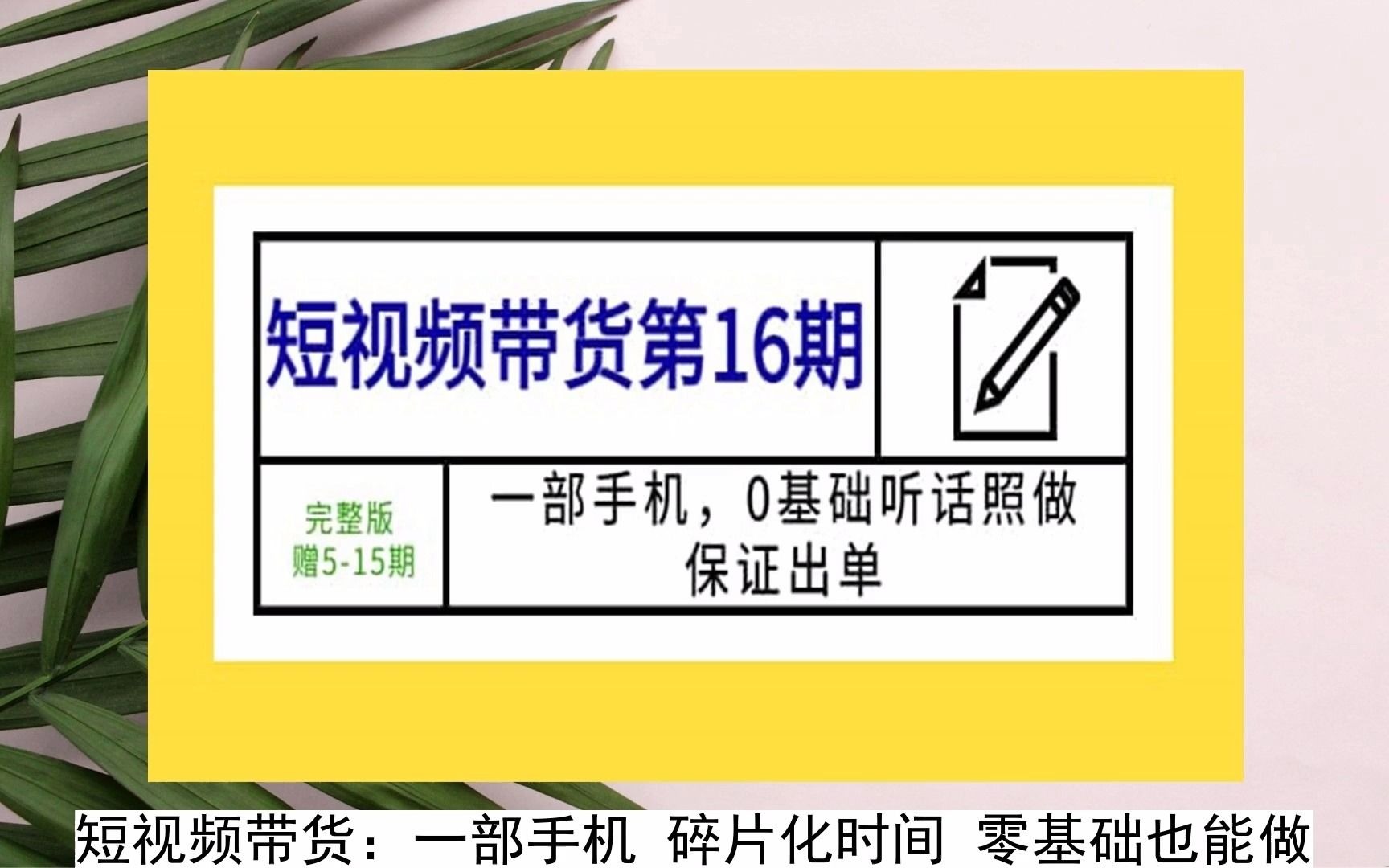 2024-短視頻帶貨第16期:一部手機,0基礎聽話照做,保證