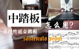 Download Video: 钢琴的选择性延音踏板 sostenuto pedal 怎么用