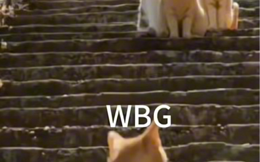 wbg加油!前方到站是全球总冠军