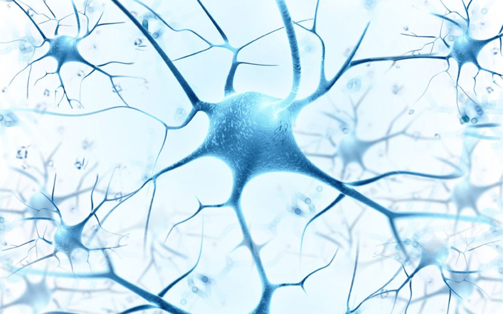 植物神经紊乱为何会有如此多的症状