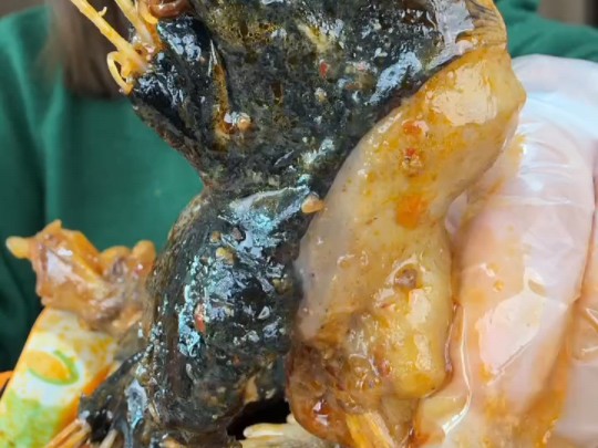 大鱼翅 来烫个头 肥肥的安康鱼翅