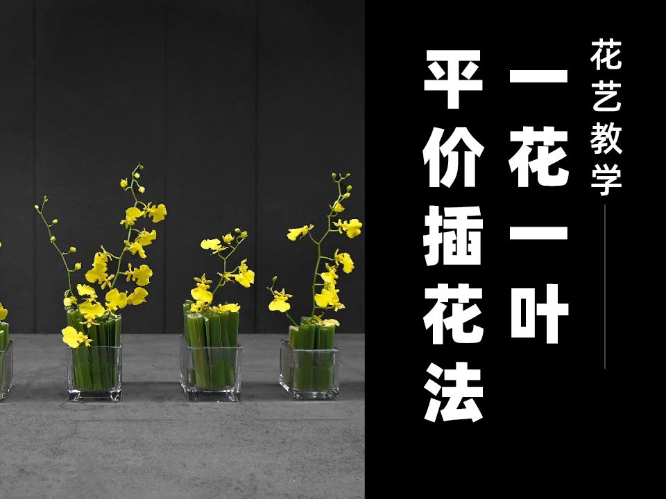 方瓶插花:长型水烛草与文心兰的妙用,快速学会小巧餐桌花