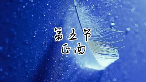 古典舞身韵盘腕 乱红 第五节正面 哔哩哔哩 Bilibili