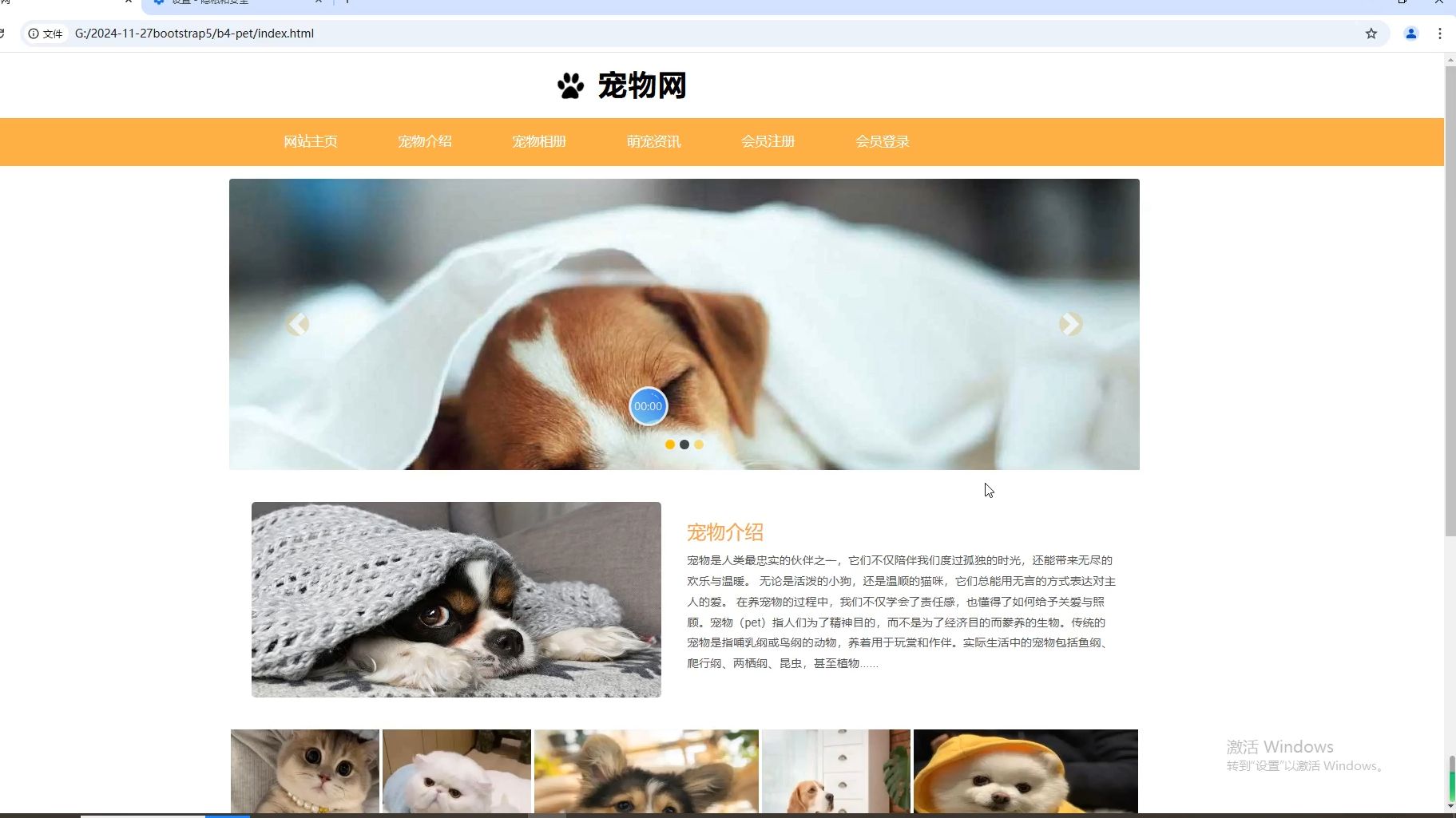 bootstrap4网页设计期末作业源码 响应式网页宠物网页哔哩哔哩bilibili