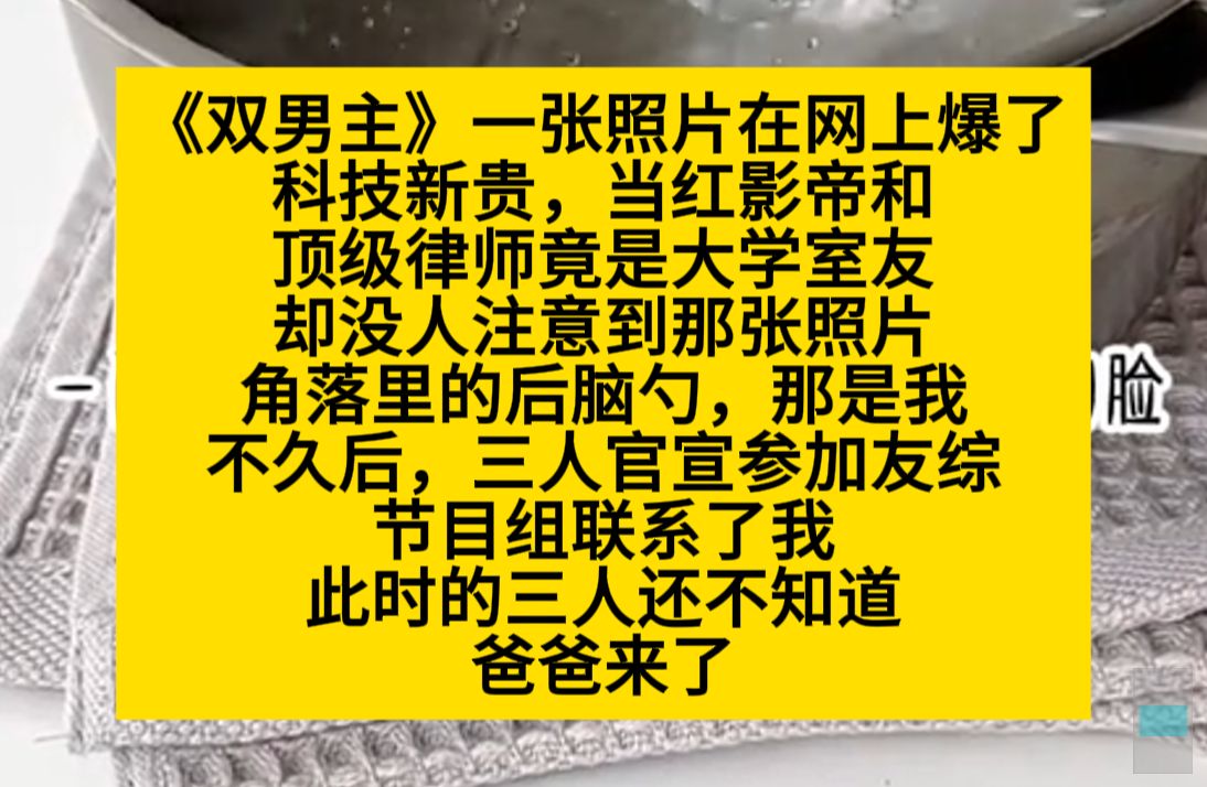 双男主 一张照片在网上爆了,科技新贵,当红影帝和顶级律师是大学室友,可背景的我才是……小说推荐哔哩哔哩bilibili