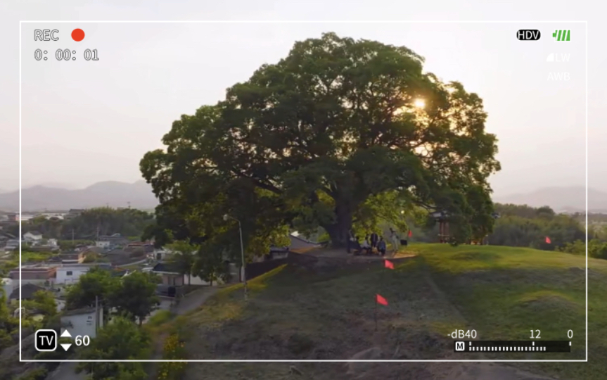 [图]奇怪的禹英雨律师｜绿水青山才是金山银山｜守护村庄的朴树