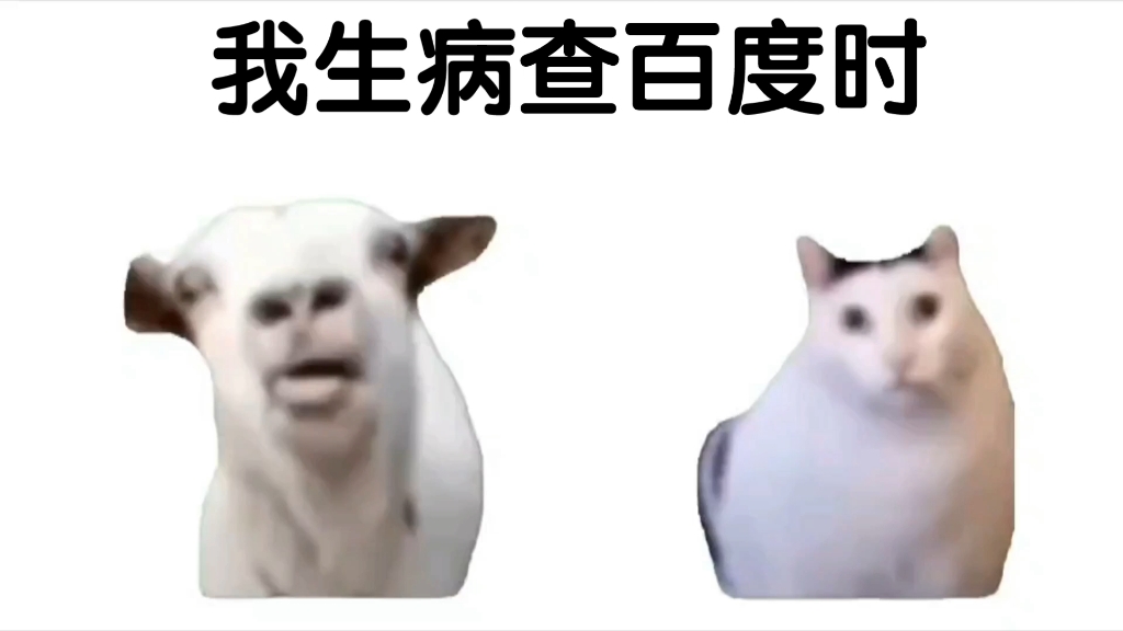 我:听不懂思密达