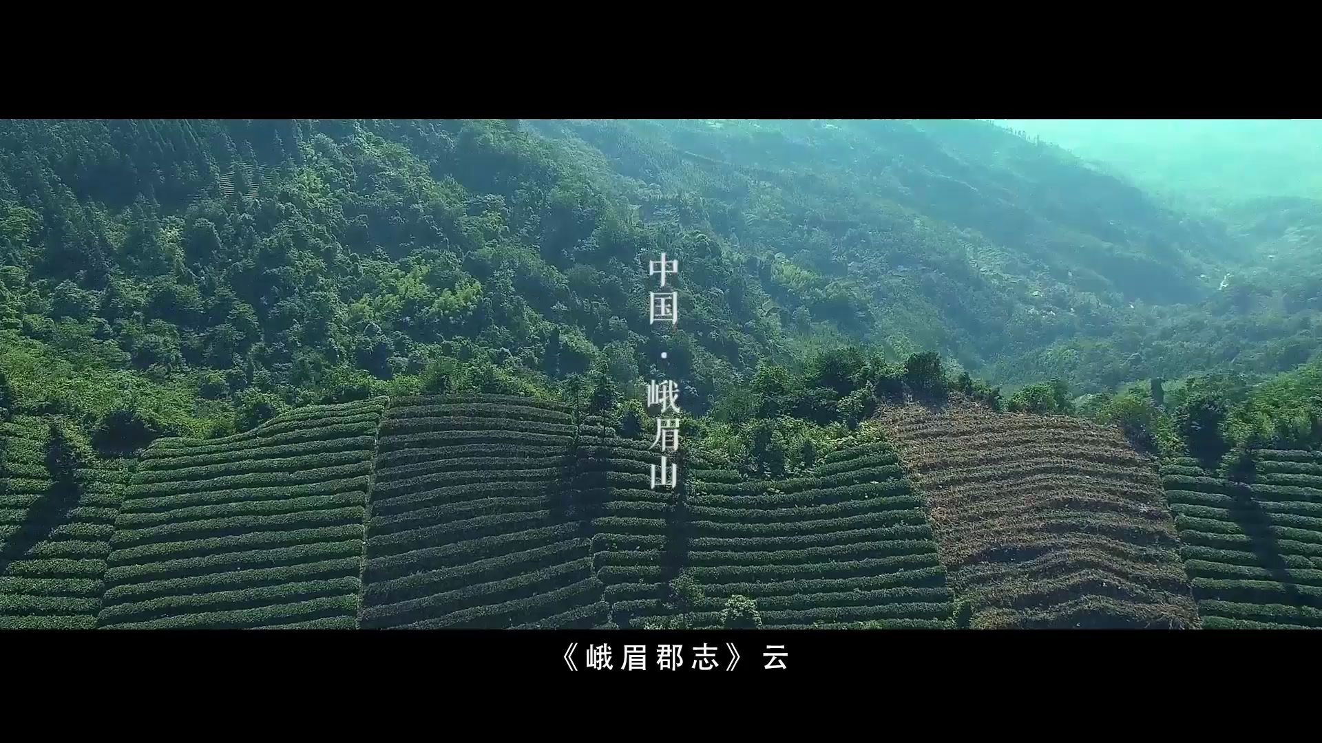 峨眉山奶白茶上市宣传片哔哩哔哩bilibili