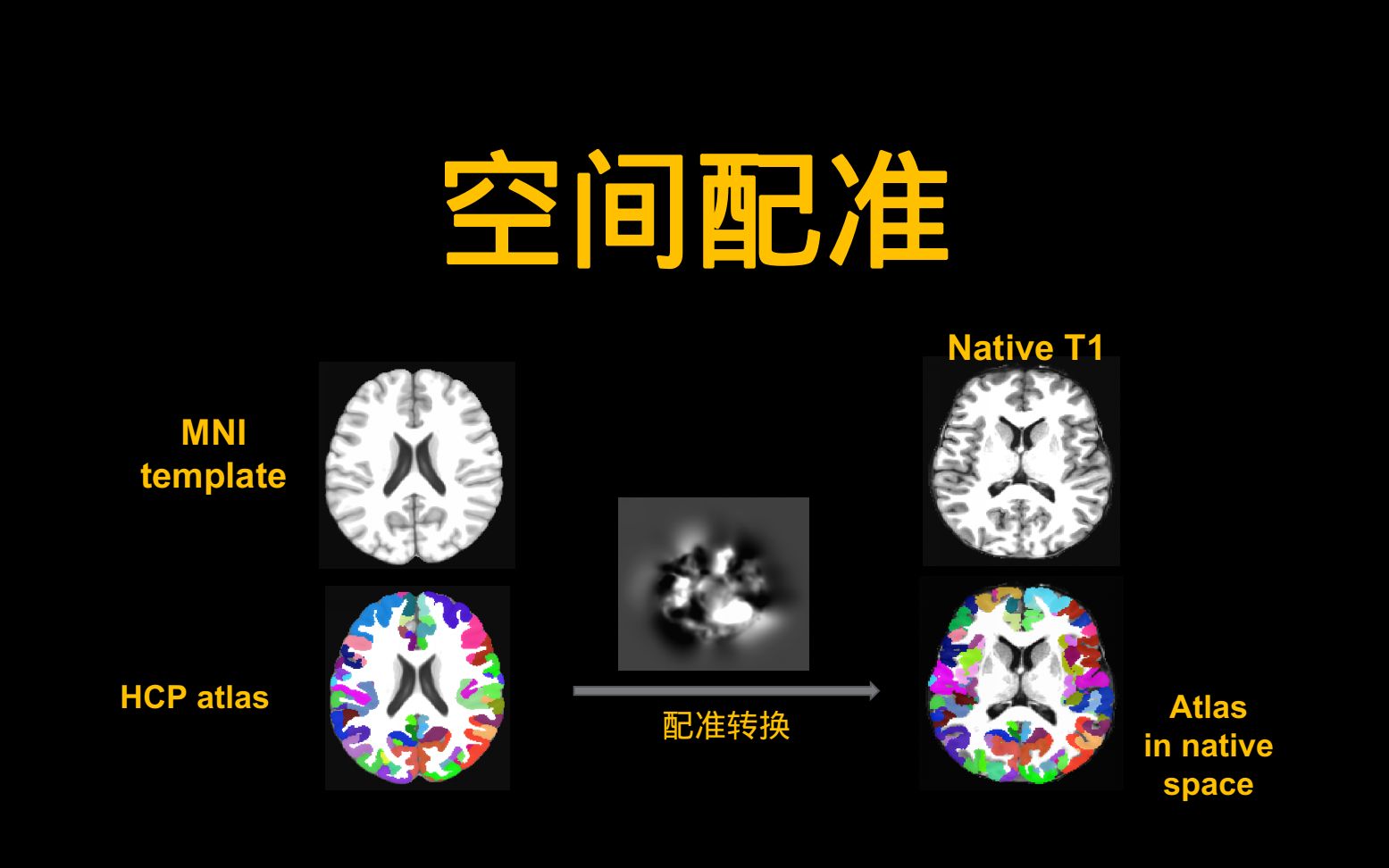 fMRI小技巧:怎么做空间配准(Linear and Nonlinear Coregistration using ANTs)哔哩哔哩bilibili