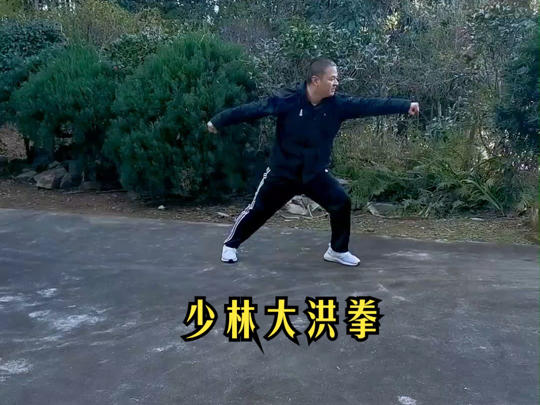 少林大洪拳36式图片