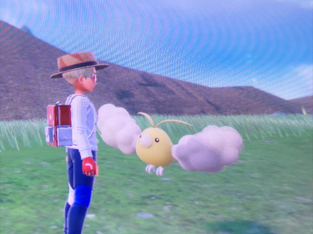 放假回家,遇到人生第一只闪光青绵鸟