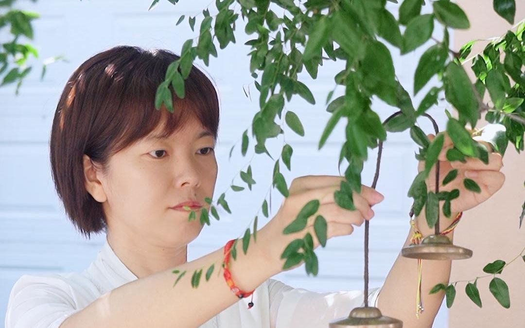 丁夏静心,清除内心杂音,大脑清空,平复内心