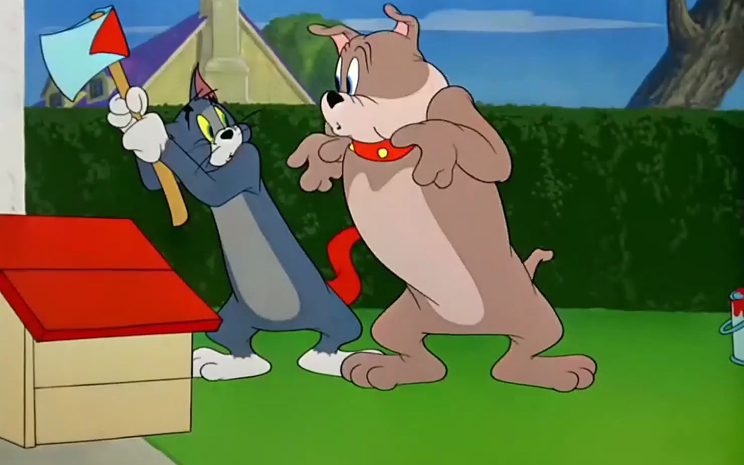 "每日一遍,防止emo""今日汤姆大战斯派克"#猫和老鼠