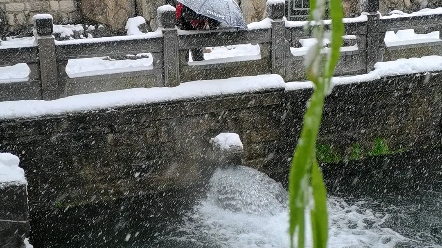 大雪纷飞中的黑虎泉