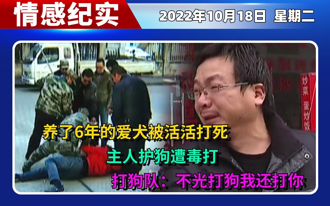 6年爱犬被活活打死,主人护狗遭毒打,打狗队:不光打狗我还打你!哔哩哔哩bilibili