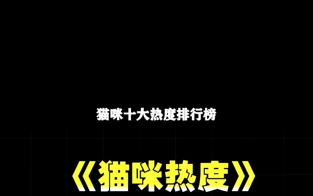 猫咪十大热度排行榜,快来看看你家猫咪上榜没哔哩哔哩bilibili