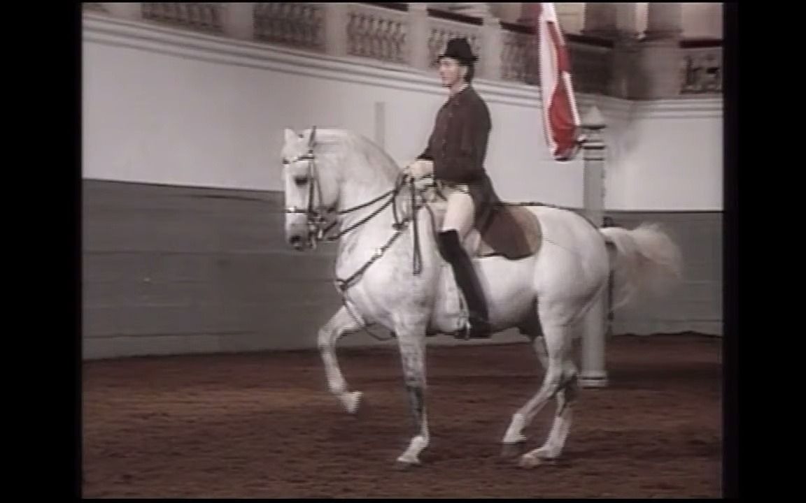 [图]建筑史——16C~18C欧洲——德国·宫殿——The Hofburg霍夫堡皇宫【冬宫——Spanish Riding School 西班牙骑术学校2