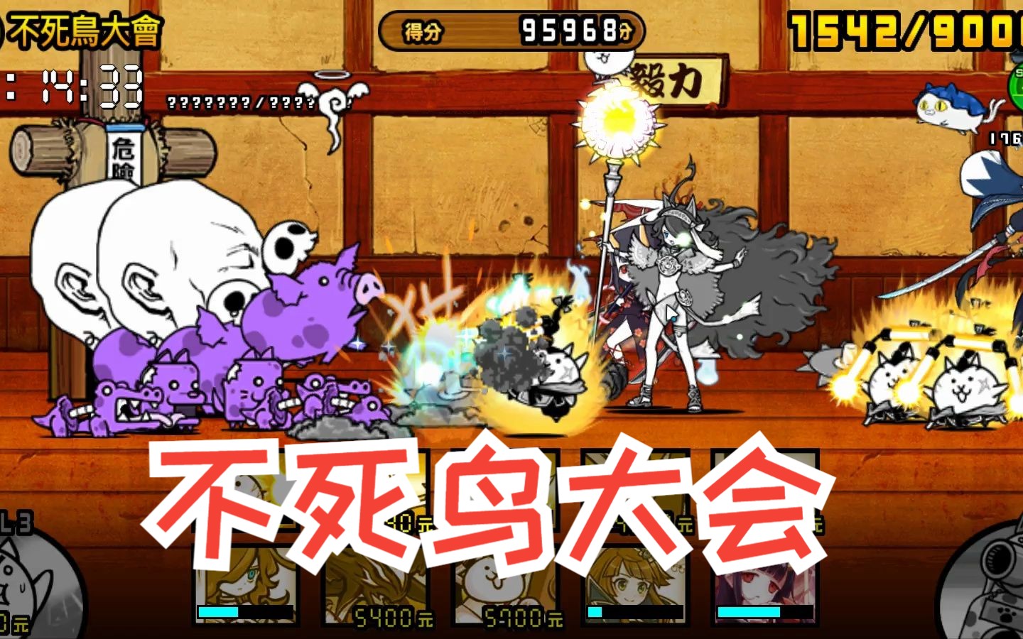 糯米猫咪大战争 排行赛不死鸟大会