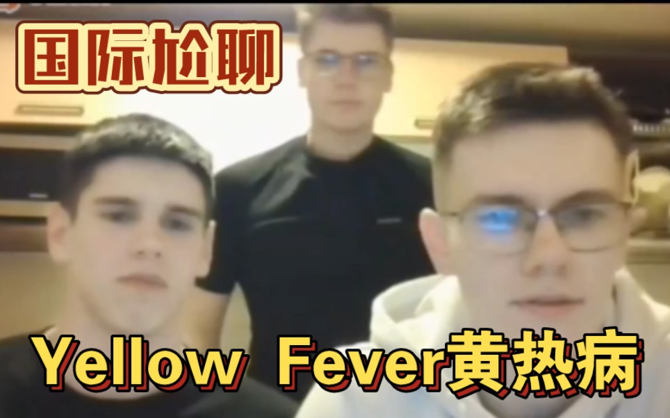 什么是Yellow Fever黄热病?【国际尬聊】哔哩哔哩bilibili