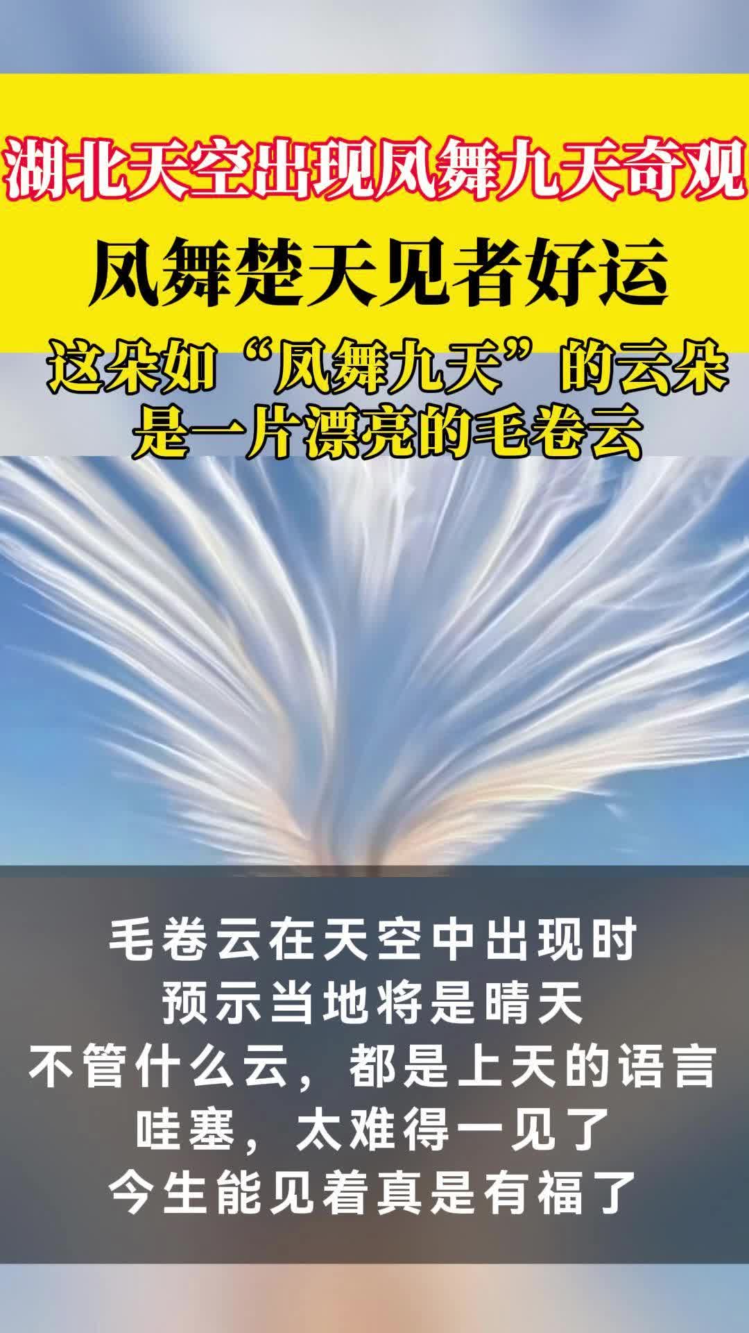 不管什么云,都是上天的语言,湖北天空出现凤舞九天奇观,漂亮!哔哩哔哩bilibili