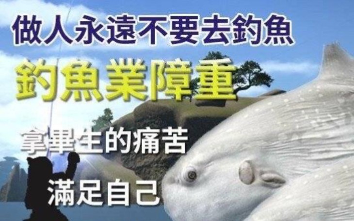 【FF14每周战场】大家到底在碎冰干什么?网络游戏热门视频