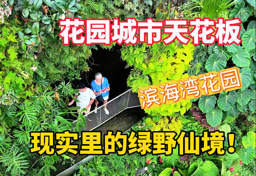 顶级花园城市新加坡!逛滨海湾公园,被他们的审美震惊了哔哩哔哩bilibili