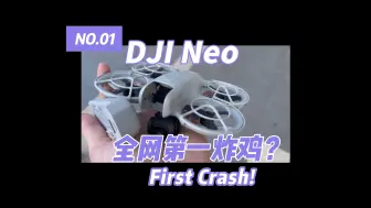 Download Video: 大疆Neo全网第一炸机？！