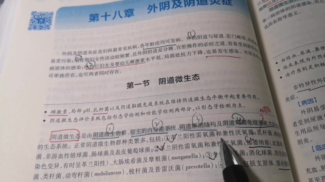 妇产科学—外阴与阴道疾病简短总结(1)(本章未完)哔哩哔哩bilibili