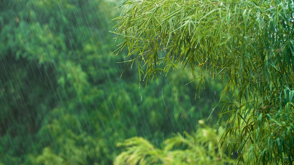 [图]4K下雨素材 无声视频