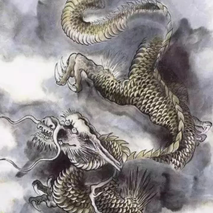 这个龙挺威猛的