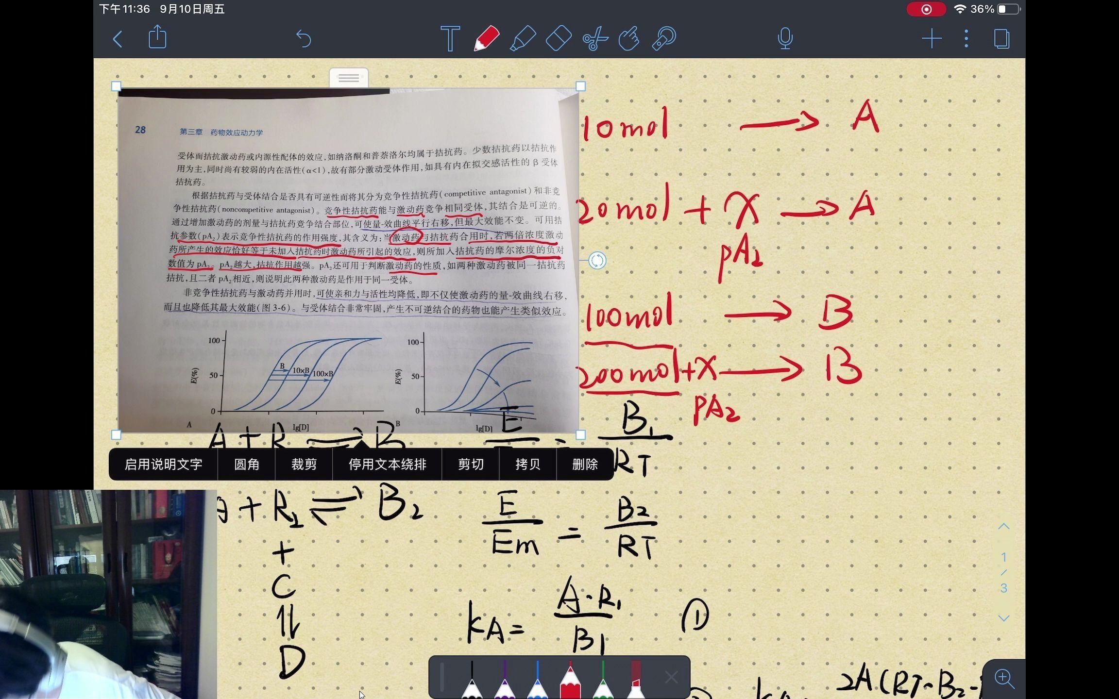 关于拮抗参数pa2的一个问题哔哩哔哩bilibili