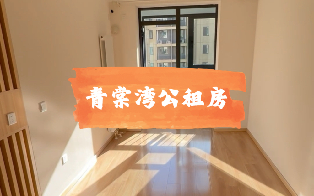 青棠湾公租房零居