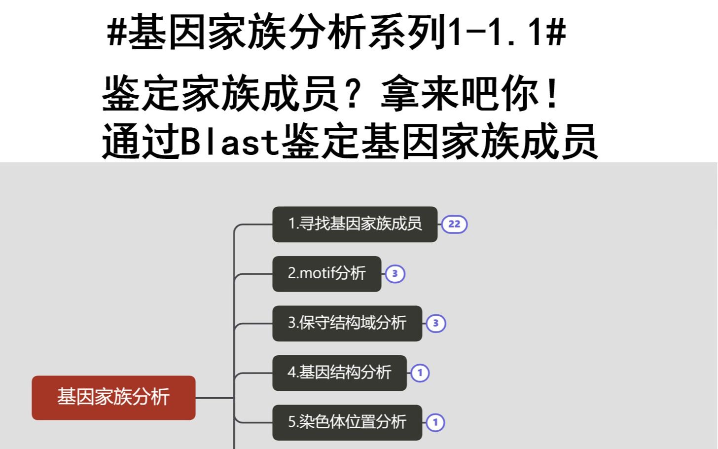 #基因家族分析系列11.1#鉴定家族成员?拿来吧你!通过Blast鉴定基因家族成员哔哩哔哩bilibili