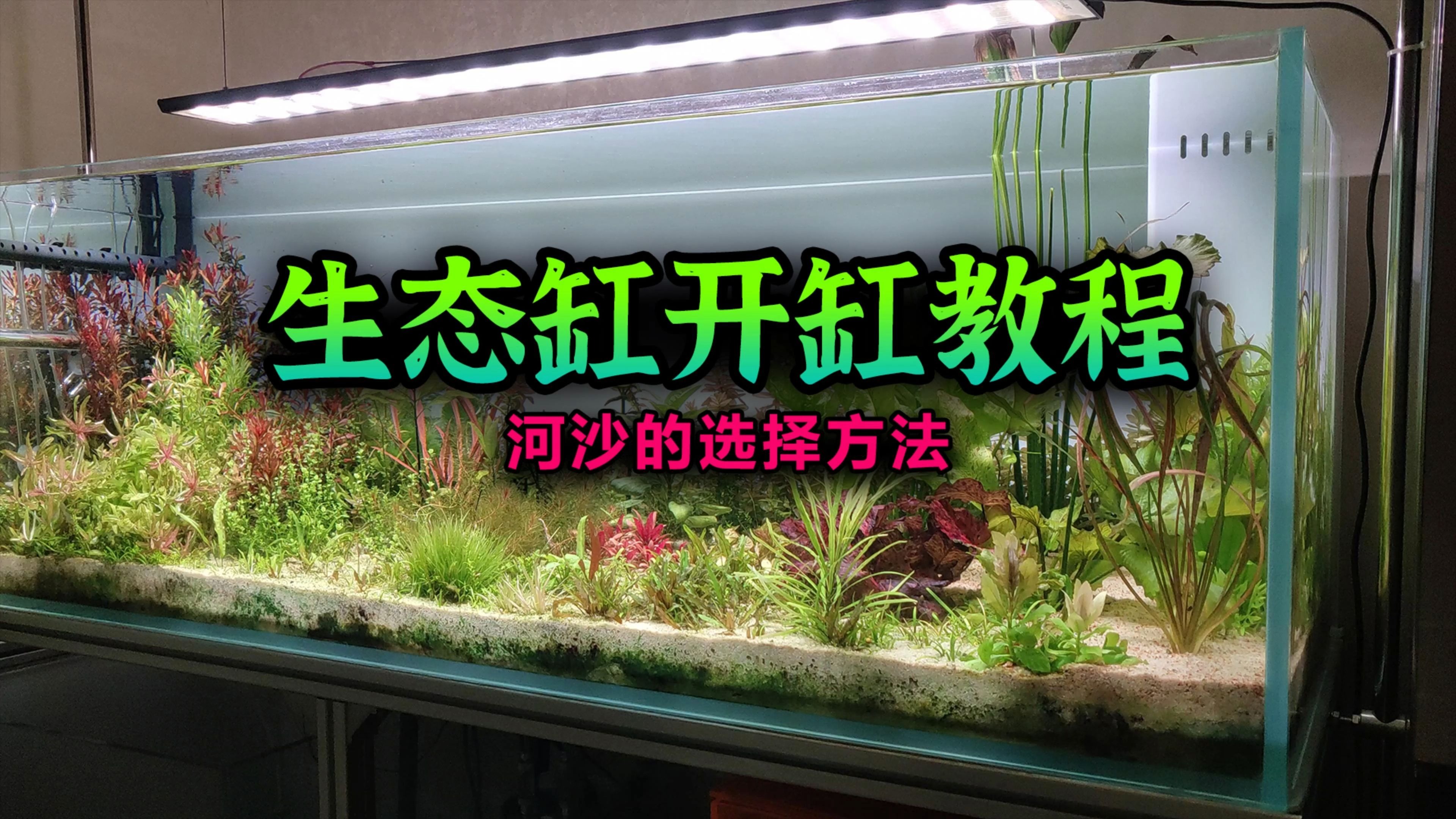 矮缸开缸技巧视频