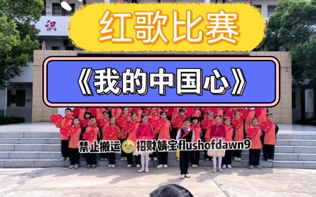 小学红歌比赛《我的中国心》一等奖哔哩哔哩bilibili