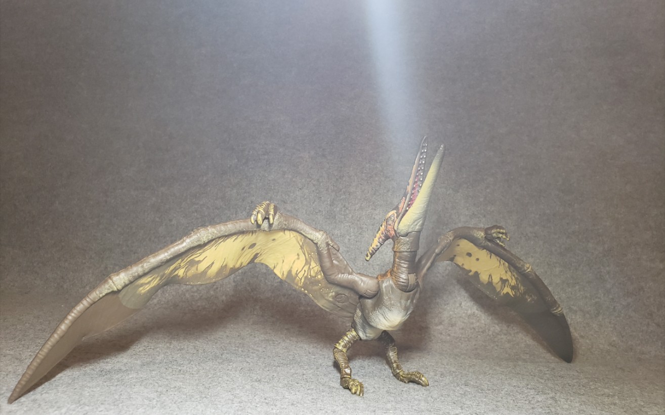 美泰琥珀系列无齿翼龙,_哔哩哔哩_bilibili