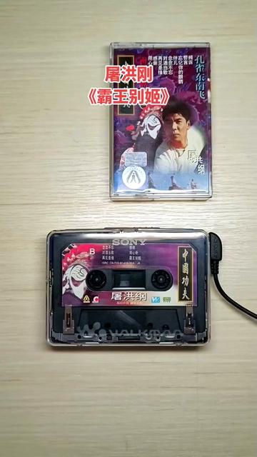 《霸王别姬》是屠洪刚演唱的歌曲,由陈涛作词,冯晓泉作曲,薛瑞光编曲
